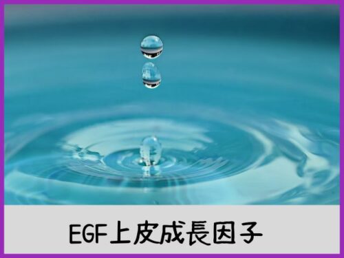 EGF(上皮成長因子)
